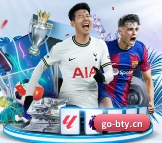 B体育 APP 界面